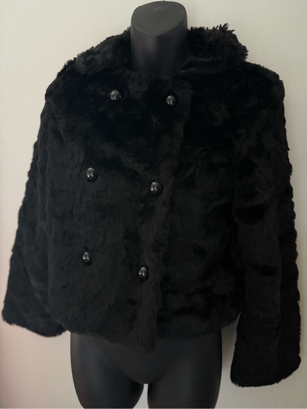 American Eagle Outfitters Black Faux Fur Double-Breasted Teddy Jacket
